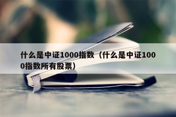 什么是中证1000指数（什么是中证1000指数所有股票）