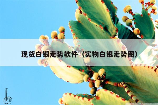 现货白银走势软件（实物白银走势图）