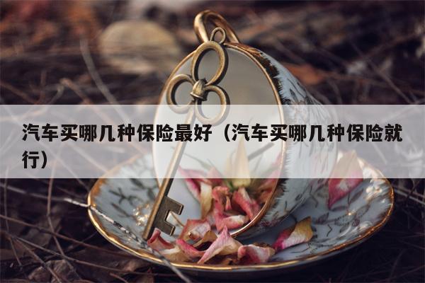 汽车买哪几种保险最好（汽车买哪几种保险就行）