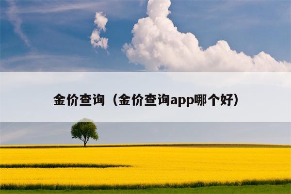 金价查询（金价查询app哪个好）