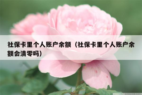 社保卡里个人账户余额（社保卡里个人账户余额会清零吗）