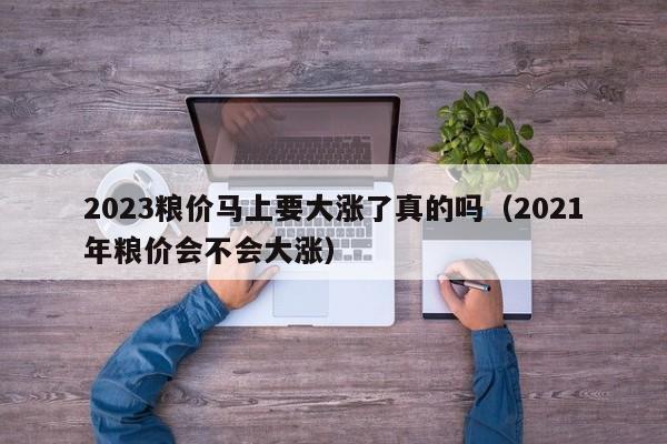 2023粮价马上要大涨了真的吗（2021年粮价会不会大涨）