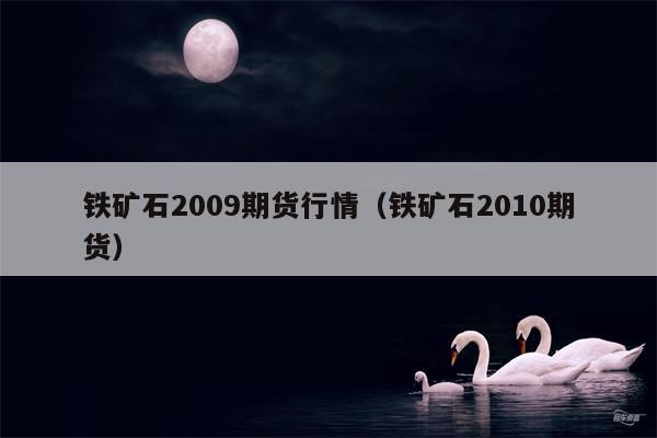 铁矿石2009期货行情（铁矿石2010期货）