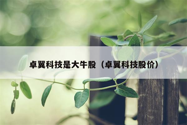 卓翼科技是大牛股（卓翼科技股价）