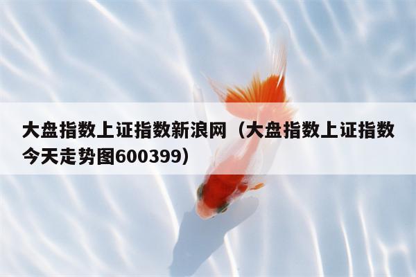 大盘指数上证指数新浪网（大盘指数上证指数今天走势图600399）