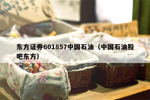 东方证券601857中国石油（中国石油股吧东方）