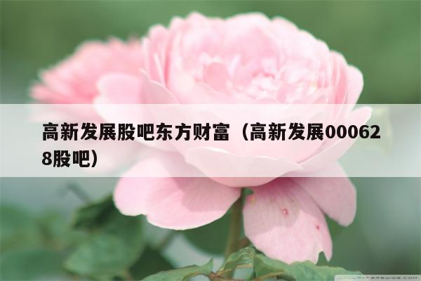 高新发展股吧东方财富（高新发展000628股吧）