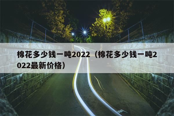 棉花多少钱一吨2022（棉花多少钱一吨2022最新价格）