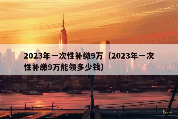 2023年一次性补缴9万（2023年一次性补缴9万能领多少钱）