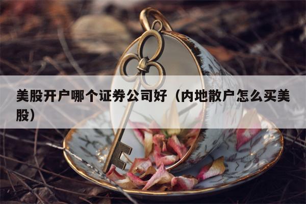 美股开户哪个证券公司好（内地散户怎么买美股）