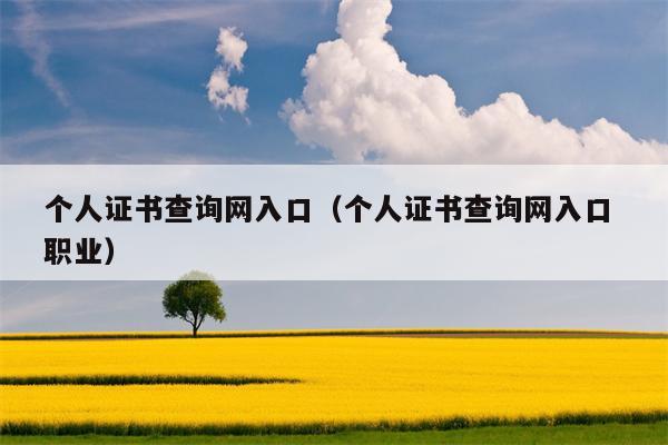 个人证书查询网入口（个人证书查询网入口 职业）