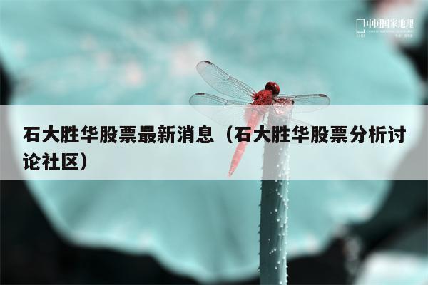 石大胜华股票最新消息（石大胜华股票分析讨论社区）