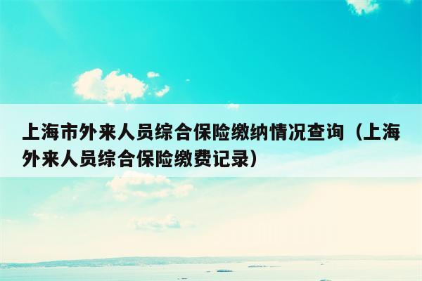 上海市外来人员综合保险缴纳情况查询（上海外来人员综合保险缴费记录）