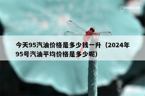 今天95汽油价格是多少钱一升（2024年95号汽油平均价格是多少呢）