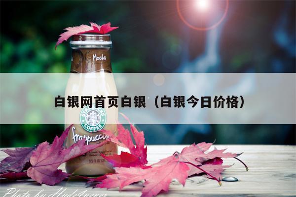 白银网首页白银（白银今日价格）