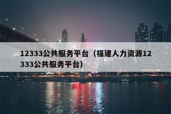 12333公共服务平台（福建人力资源12333公共服务平台）