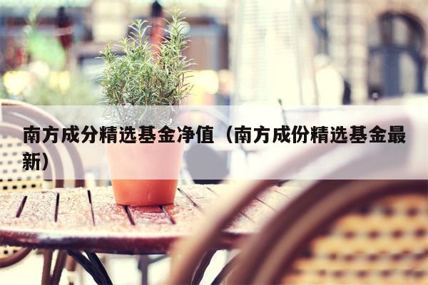 南方成分精选基金净值（南方成份精选基金最新）