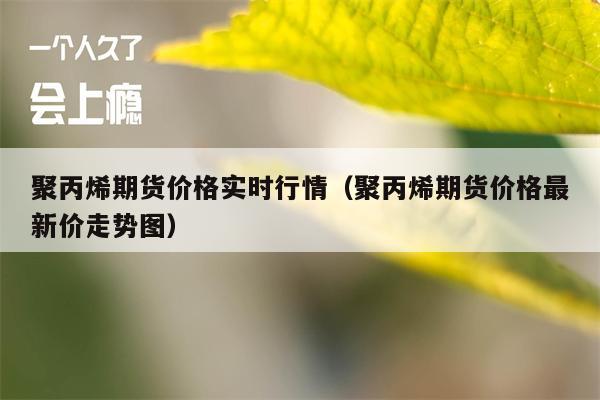 聚丙烯期货价格实时行情（聚丙烯期货价格最新价走势图）