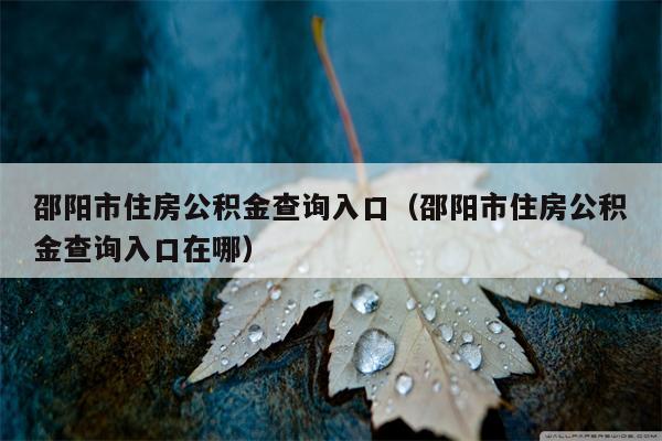 邵阳市住房公积金查询入口（邵阳市住房公积金查询入口在哪）