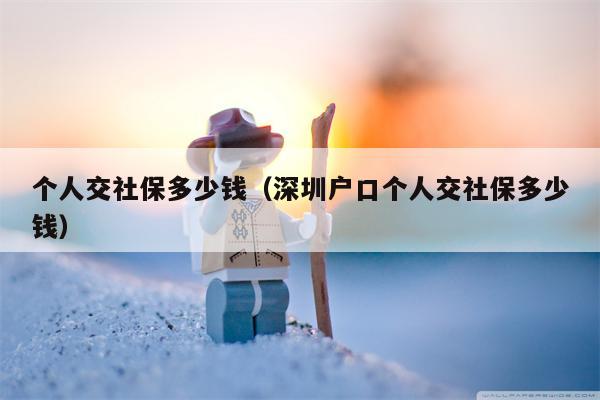 个人交社保多少钱（深圳户口个人交社保多少钱）