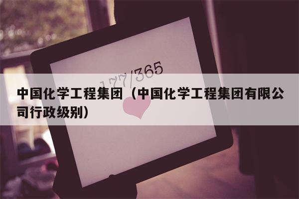 中国化学工程集团（中国化学工程集团有限公司行政级别）