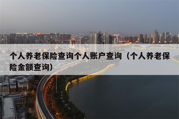 个人养老保险查询个人账户查询（个人养老保险金额查询）