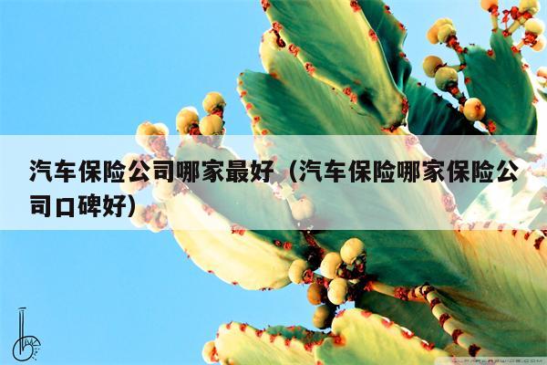 汽车保险公司哪家最好（汽车保险哪家保险公司口碑好）