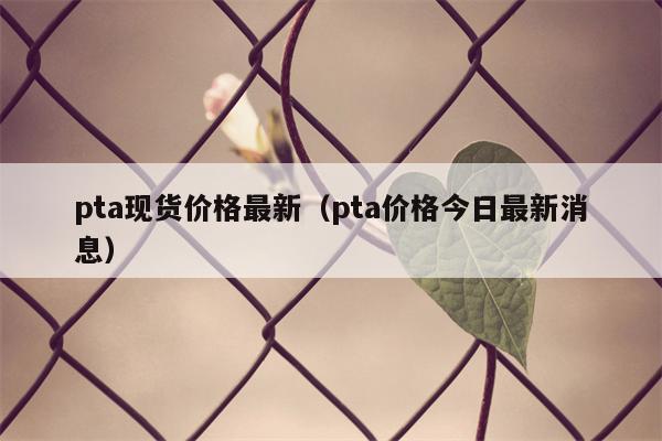 pta现货价格最新（pta价格今日最新消息）