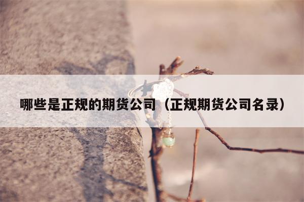 哪些是正规的期货公司（正规期货公司名录）