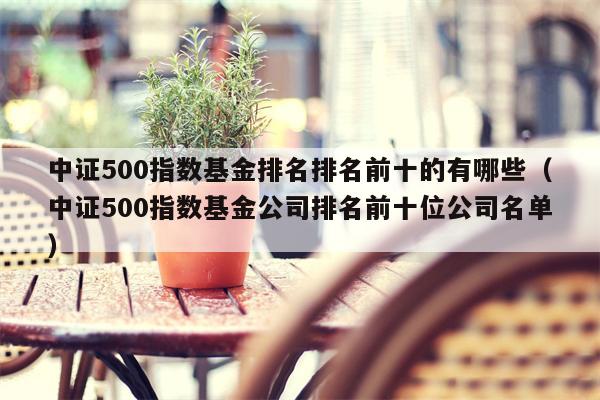 中证500指数基金排名排名前十的有哪些（中证500指数基金公司排名前十位公司名单）