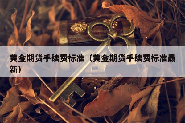 黄金期货手续费标准（黄金期货手续费标准最新）