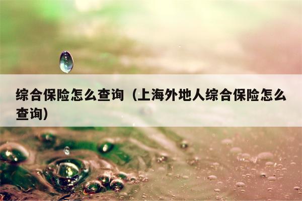 综合保险怎么查询（上海外地人综合保险怎么查询）