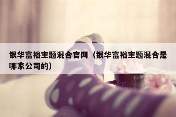 银华富裕主题混合官网（银华富裕主题混合是哪家公司的）