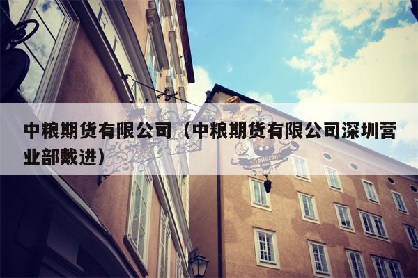 中粮期货有限公司（中粮期货有限公司深圳营业部戴进）