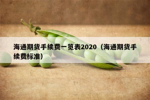 海通期货手续费一览表2020（海通期货手续费标准）