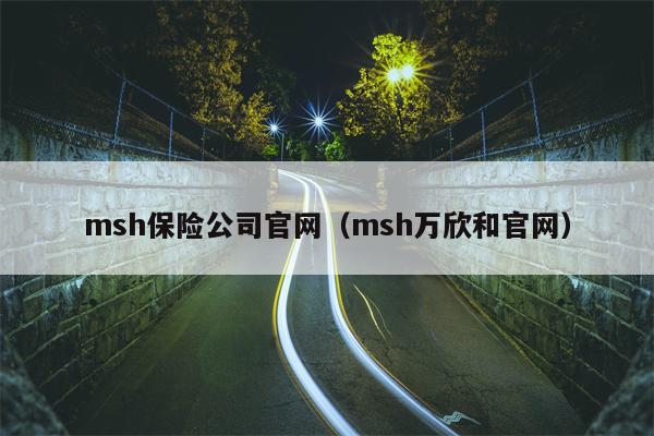 msh保险公司官网（msh万欣和官网）