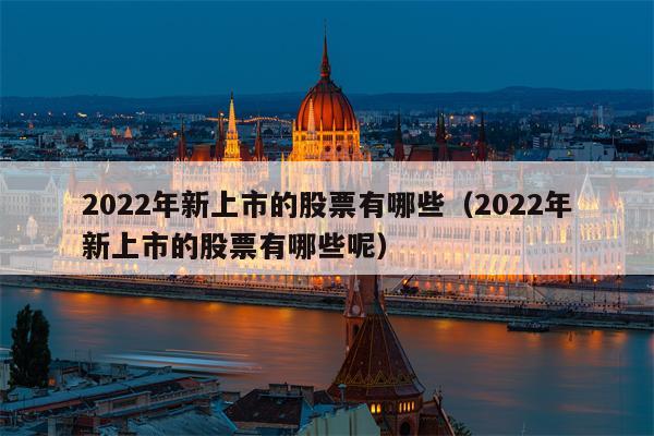 2022年新上市的股票有哪些（2022年新上市的股票有哪些呢）