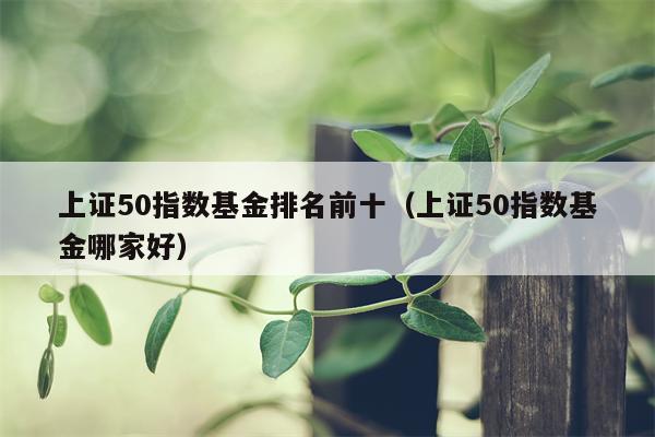 上证50指数基金排名前十（上证50指数基金哪家好）