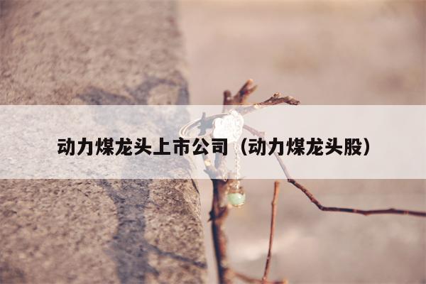 动力煤龙头上市公司（动力煤龙头股）