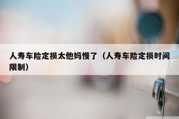 人寿车险定损太他妈慢了（人寿车险定损时间限制）