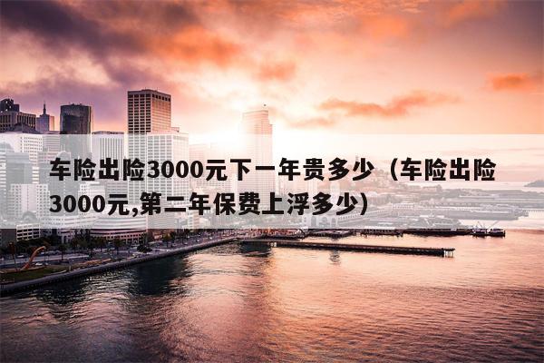 车险出险3000元下一年贵多少（车险出险3000元,第二年保费上浮多少）