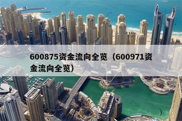 600875资金流向全览（600971资金流向全览）