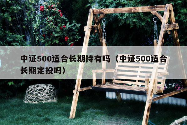 中证500适合长期持有吗（中证500适合长期定投吗）