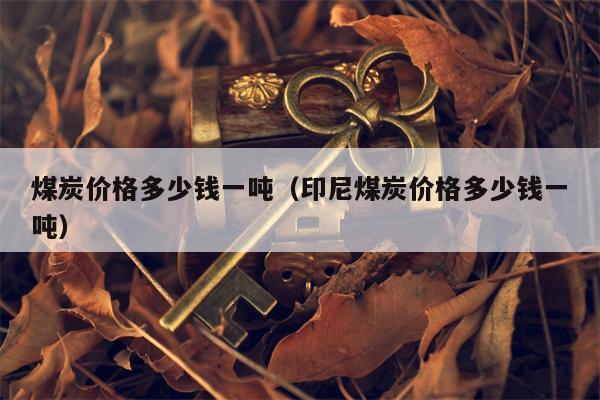 煤炭价格多少钱一吨（印尼煤炭价格多少钱一吨）