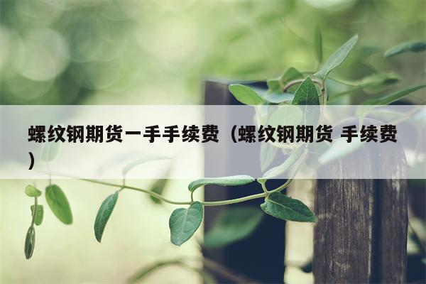 螺纹钢期货一手手续费（螺纹钢期货 手续费）