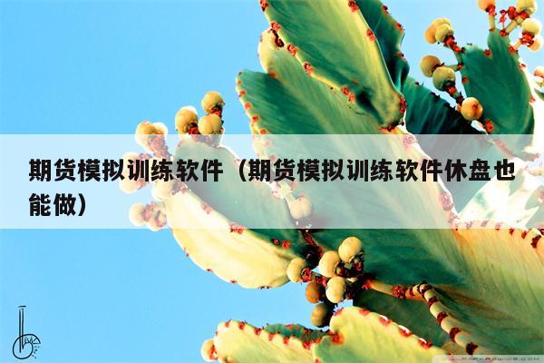 期货模拟训练软件（期货模拟训练软件休盘也能做）