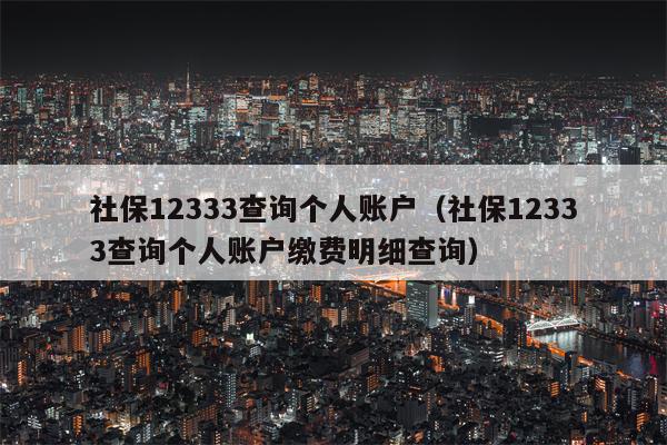 社保12333查询个人账户（社保12333查询个人账户缴费明细查询）