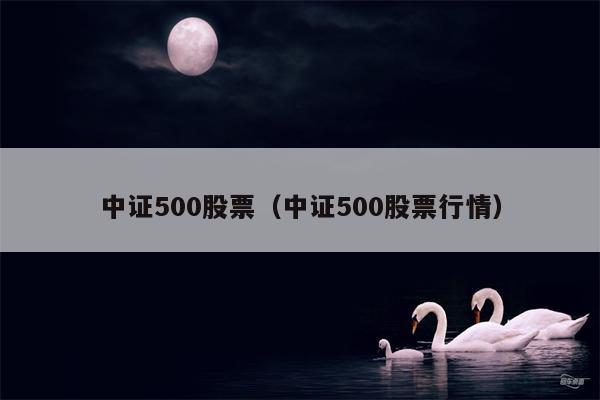 中证500股票（中证500股票行情）