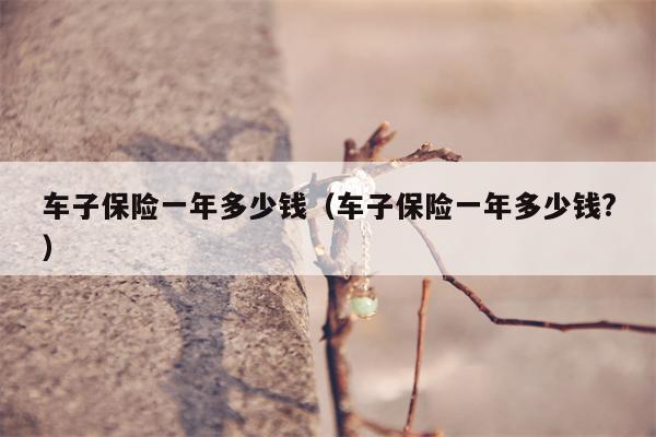 车子保险一年多少钱（车子保险一年多少钱?）