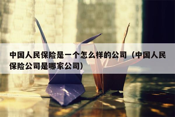 中国人民保险是一个怎么样的公司（中国人民保险公司是哪家公司）